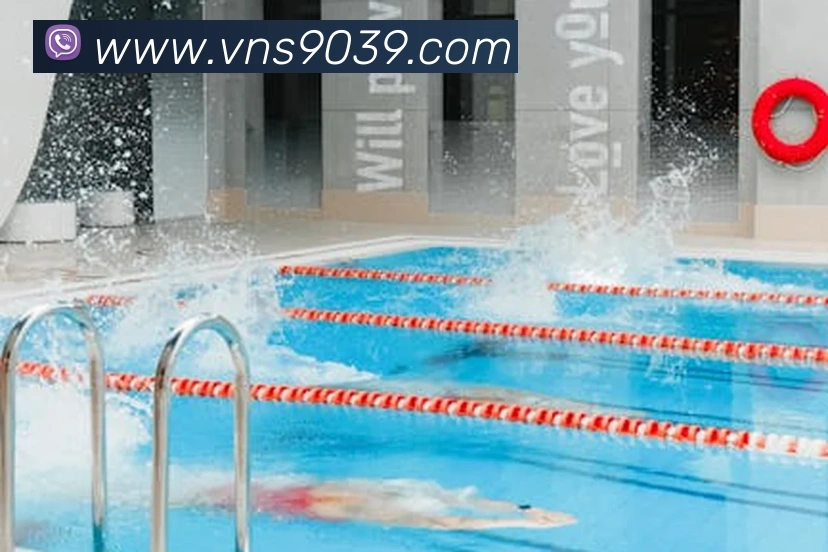 威尼斯人娱乐官网发展历程